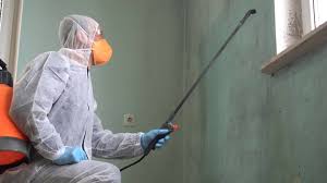 Why You Should Choose Our Mold Remediation Services in Pequot Lakes, MN