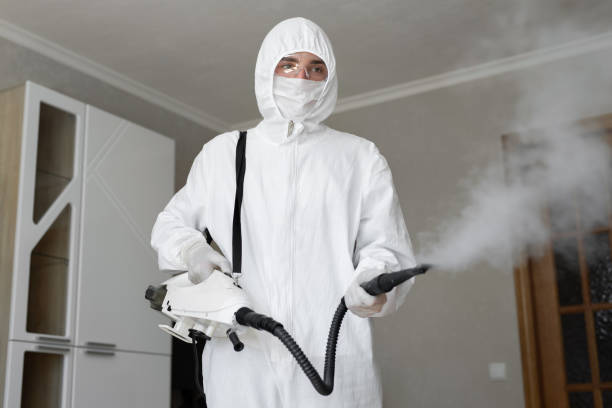 Best Mold Removal for HVAC Installations  in Pequot Lakes, MN